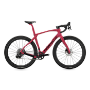 Afbeeldingen van Pinarello frame Grevil F9 Disc Red Wine E362 47cm