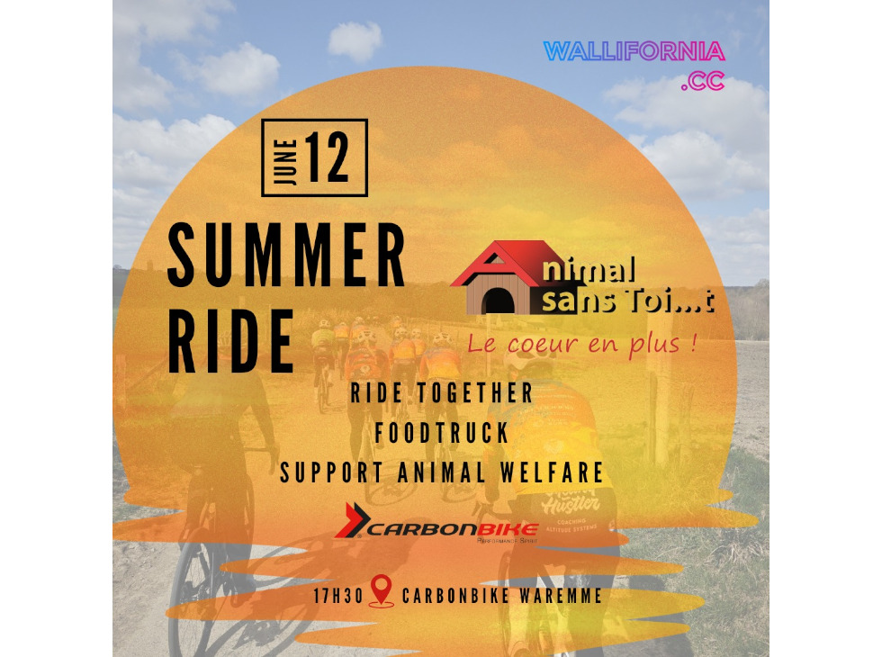 Nieuwsafbeelding SUMMER RIDE - SUPPORT ANIMAL SANS TOI...T